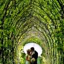 aspectphotography (5)