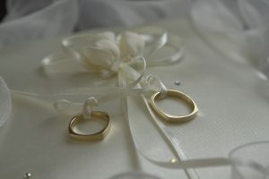 Planning a Gay Marriage